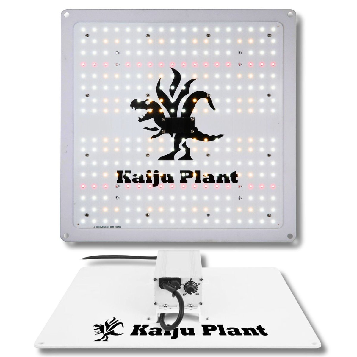 怪獣フレア301にホワイトカラー登場！！】 こんにちは Kaiju Plantです