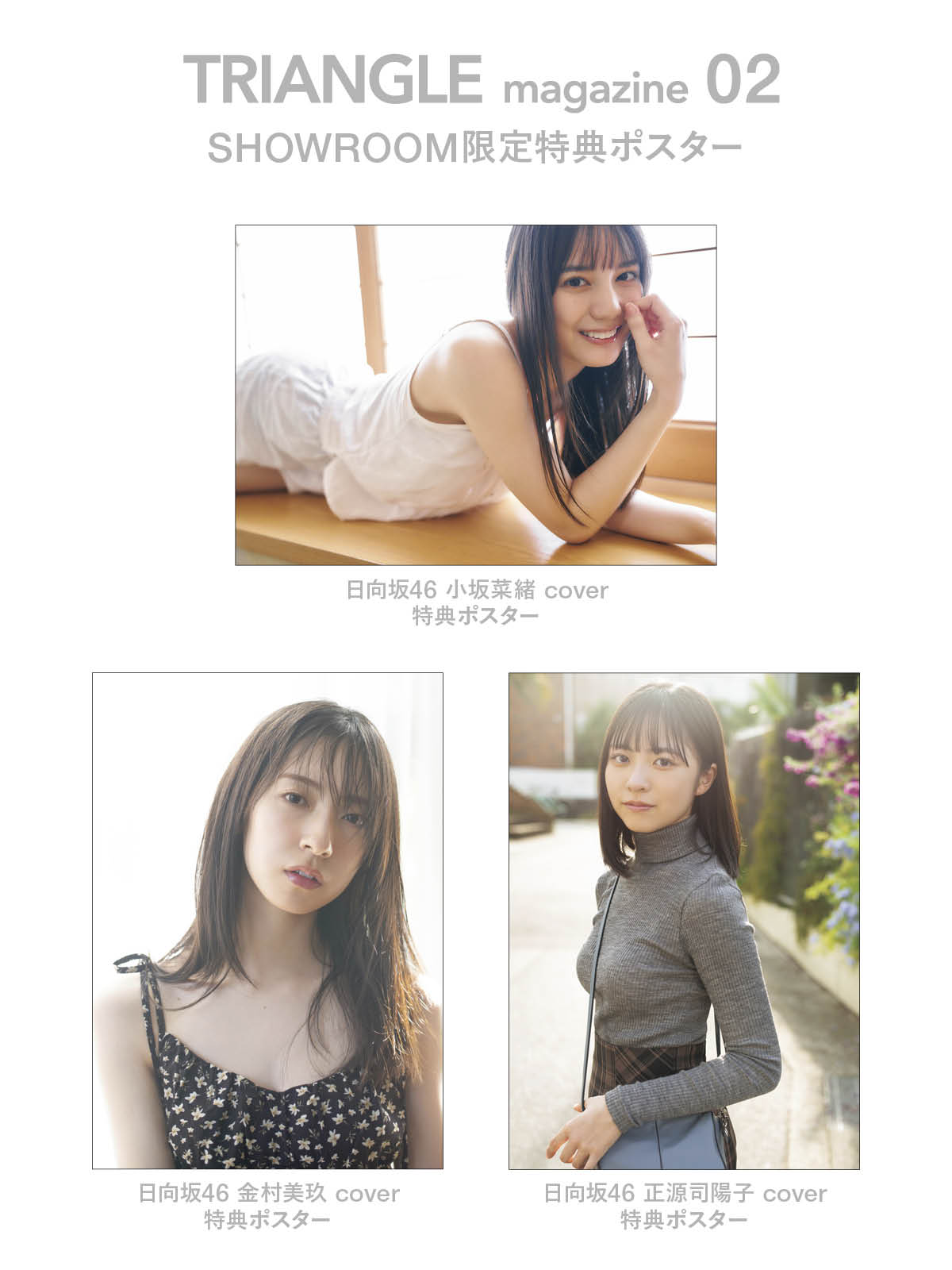 日向坂 ひな図書 46 小坂菜緒 勇者 メルティン 正月 ポスター セット