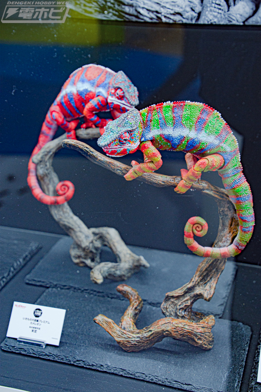 いきもの大図鑑プレミアム カメレオン いきもの大図鑑アルティメット