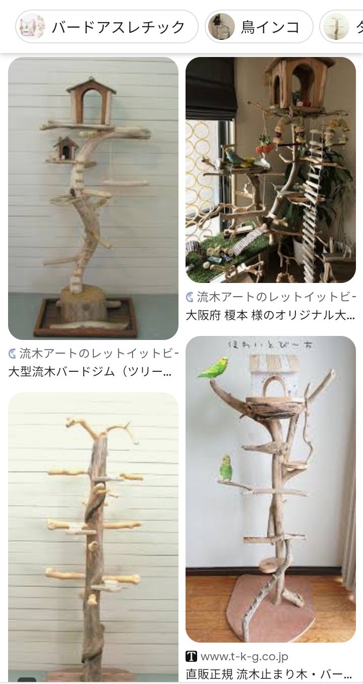 カシオレ鳥インコ止まり木 流木バードアスレチック 大サイズバードジム