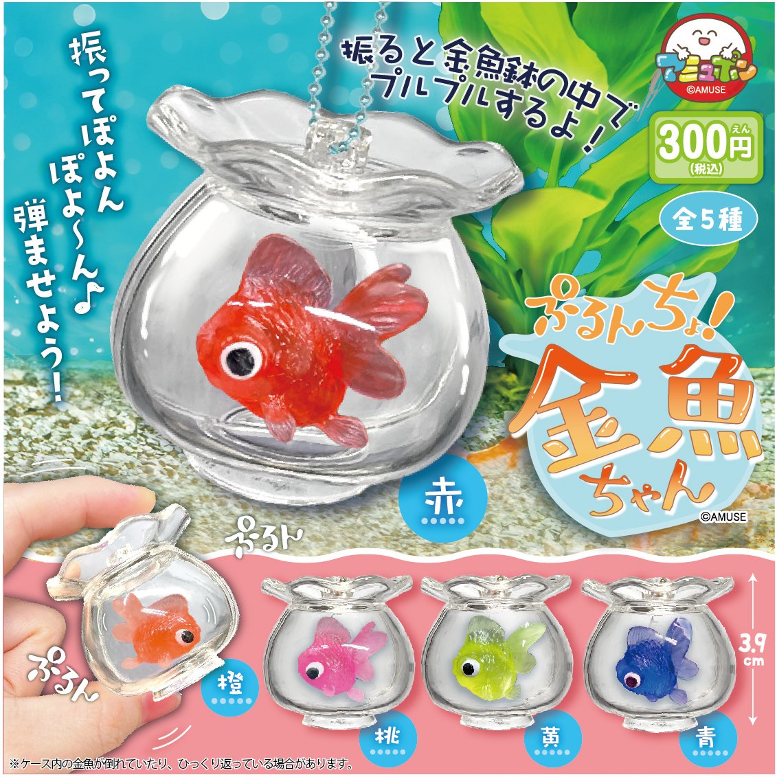 📣8月発売予定✨ 『ぷるんちょ金魚ちゃん』300円 金魚鉢の中に入った