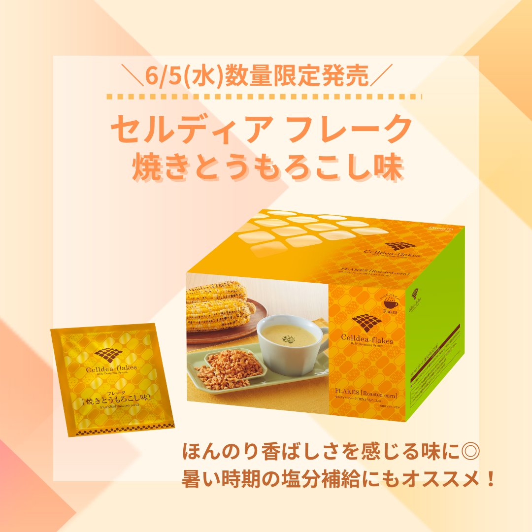 ダイアナ オンラインショップ / -soy DIANAセルディア計4箱カリー