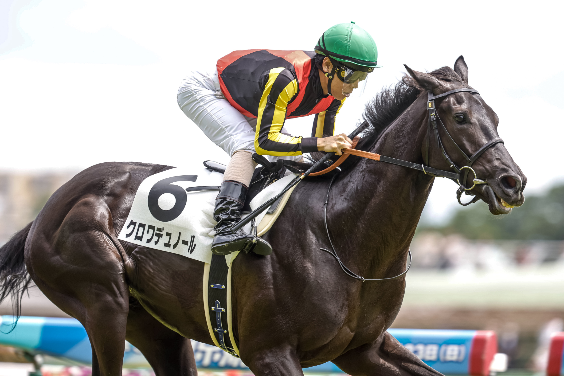 クロワデュノール 新馬戦から日本ダービーまでの現地応援馬券 2025年