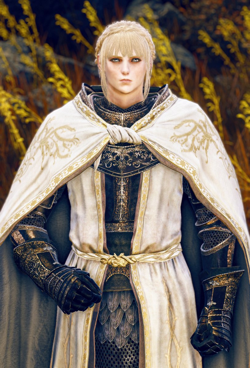 エルデンリング 針の騎士 レダ キャラファイングラフ ② 針の騎士