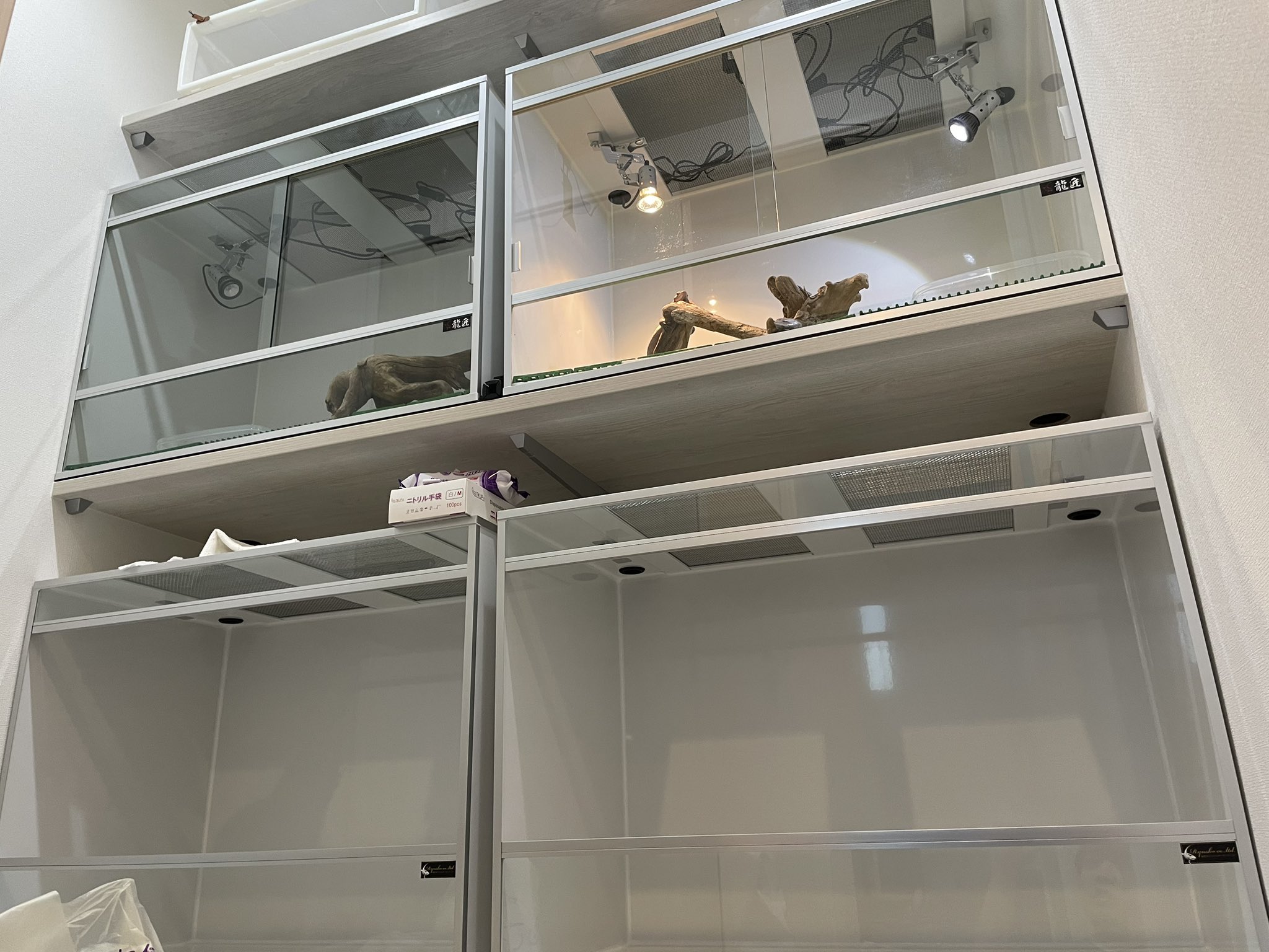 龍匠 大型ガラス飼育ケージ 120×45×45 1円スタート]爬虫類ケージ