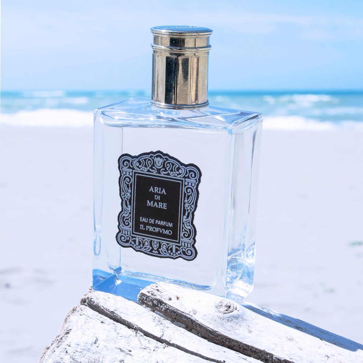 IL PROFVMO JAPAN (@il_profvmo_jp) / Posts / X