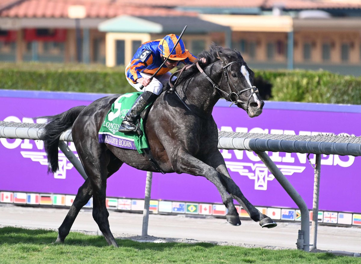 非売品】クールモア・スタッド (海外競馬・種牡馬) 海外競馬