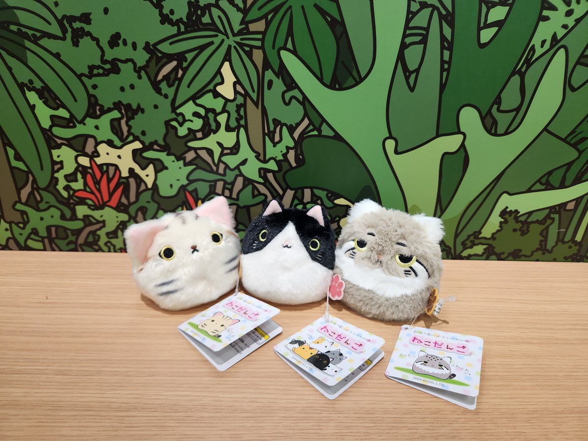 カワスイ オフィシャルショップです！ 本日ご紹介するのは、手のひら