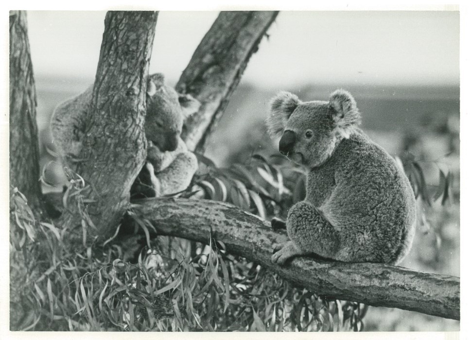 GaI-5E1bsAEM6JZ.jpg?format=jpg