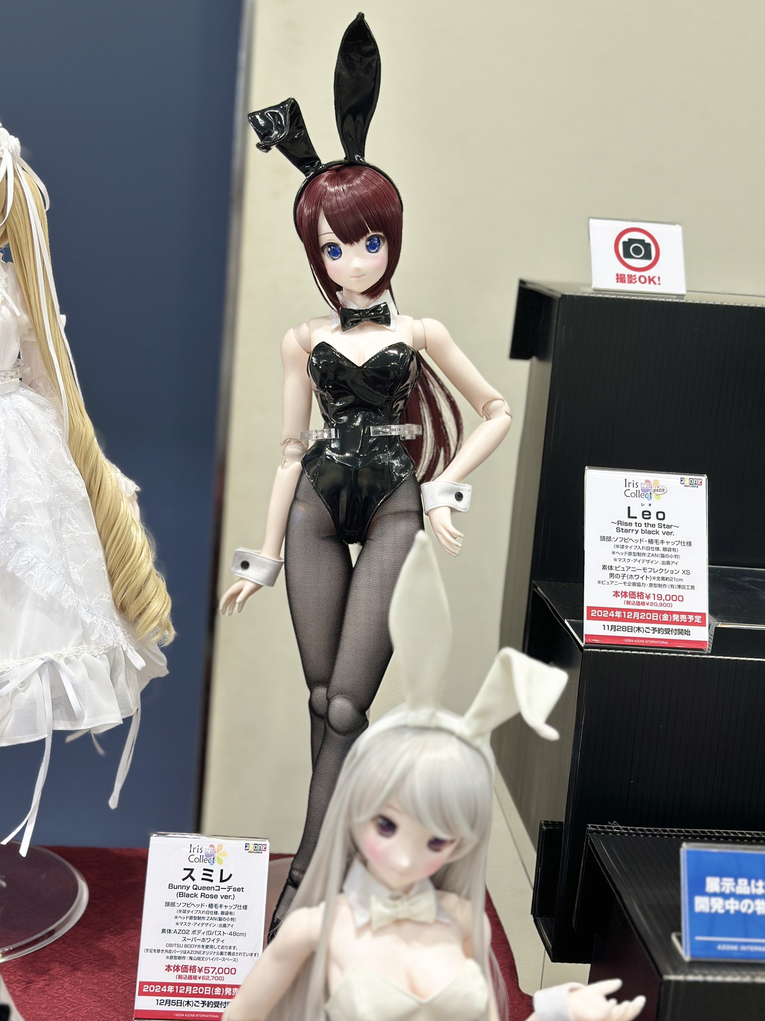 スミレ／Bunny Queenコーデset （Lilly White ver．）