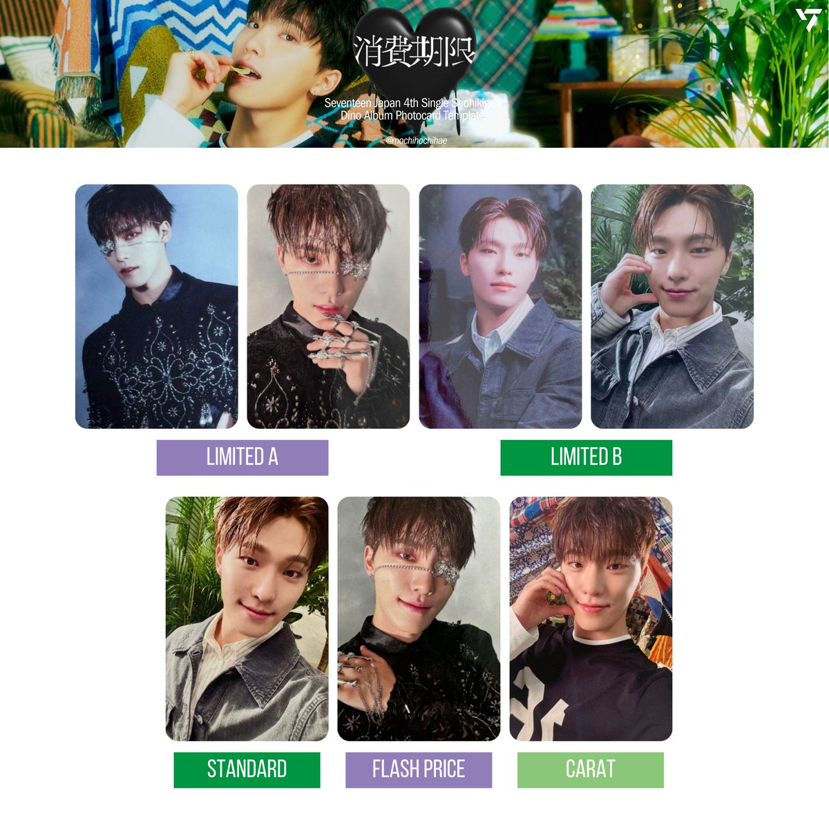 seventeen japan 4th single: shohikigen — dino album photocard
