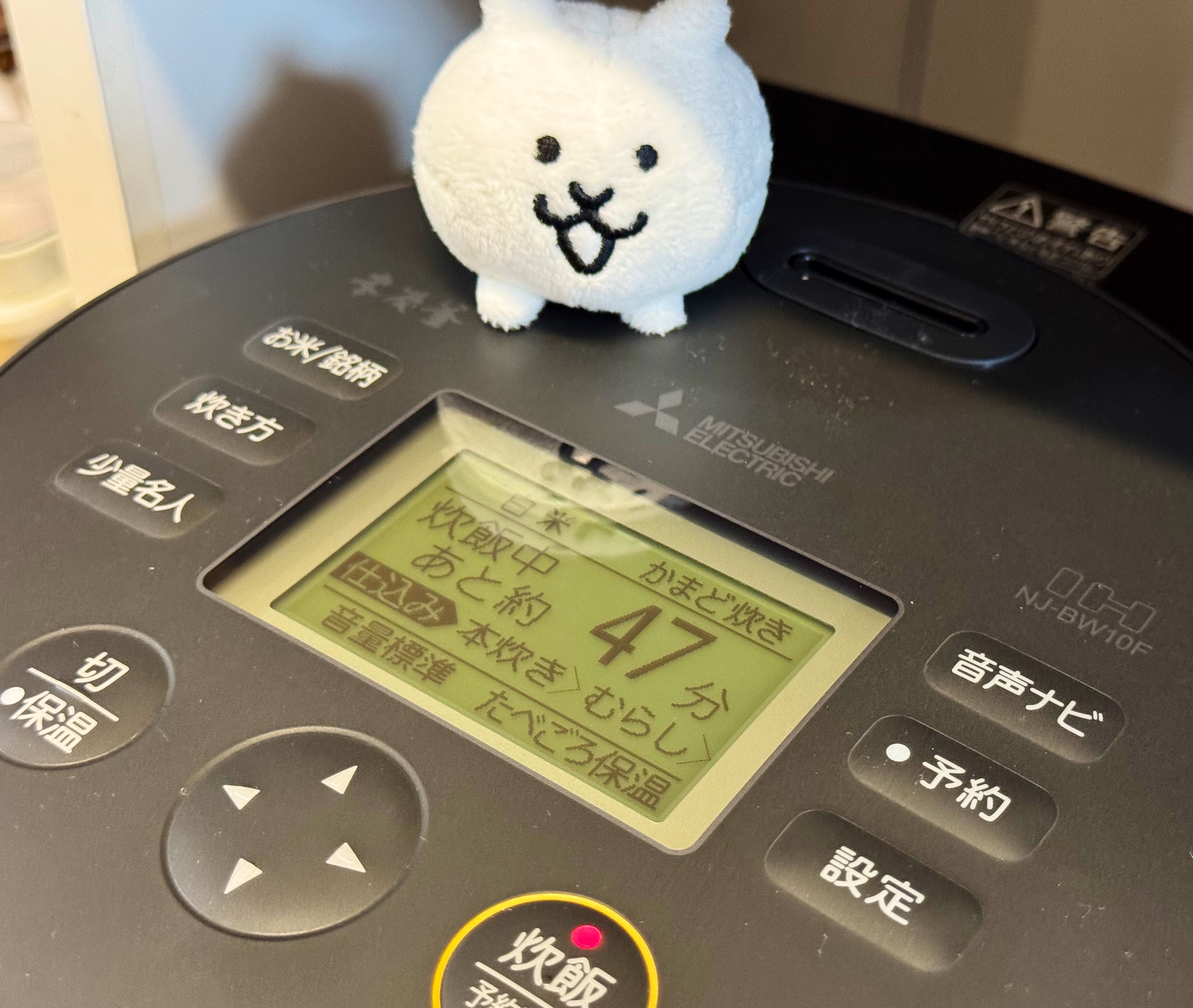 雑記：炊飯器を買い換えたら旨かったというだけの回「三菱電機 炊飯器