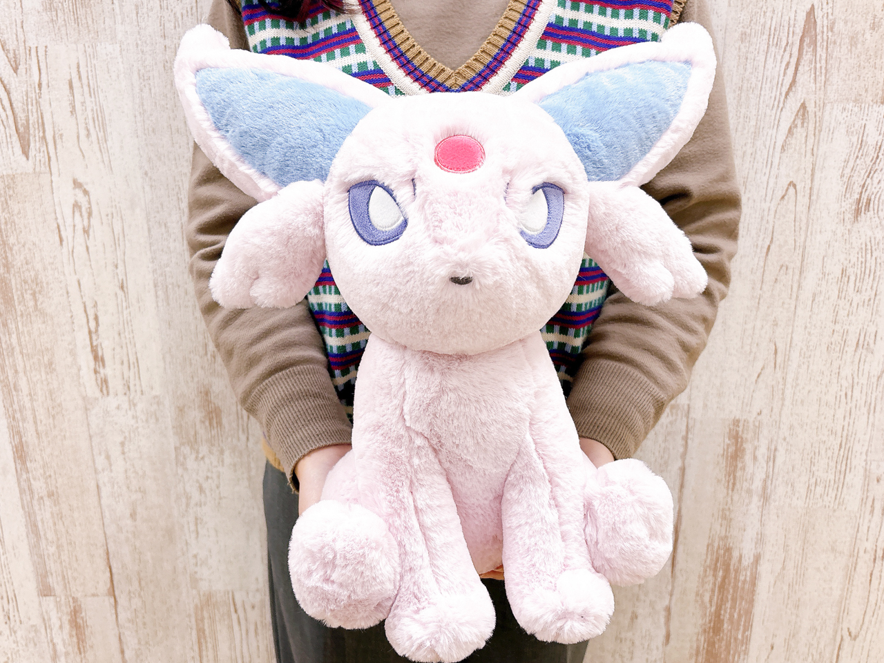 ブイズ ふわふわ抱きぬいぐるみ 6体セット ブイズ ふわふわ抱き