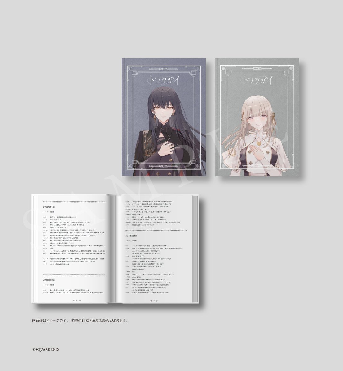 メモリアルファンブック『物語の記録』 表紙イラスト公開📖✨ ＼ 現在