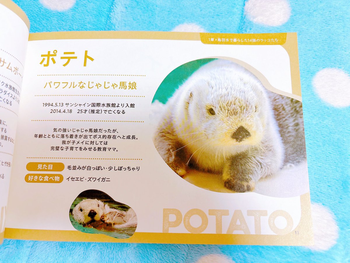 当たり前だけどメイちゃんにそっくりだねポテトさん🫶🏻🤍 #ポテトさん