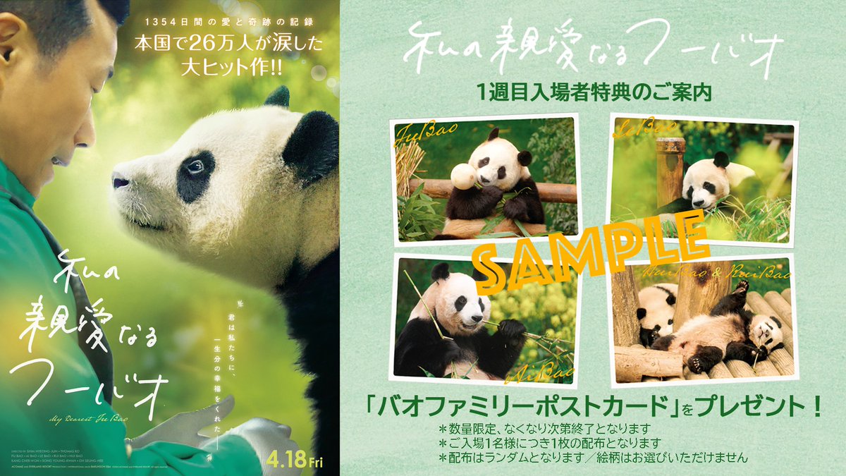 入場特典あるんや〜🐼✨️