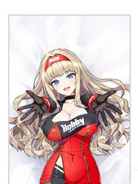 あみあみ限定販売！／ ドルフィンウェーブ HJコラボ抱き枕カバー