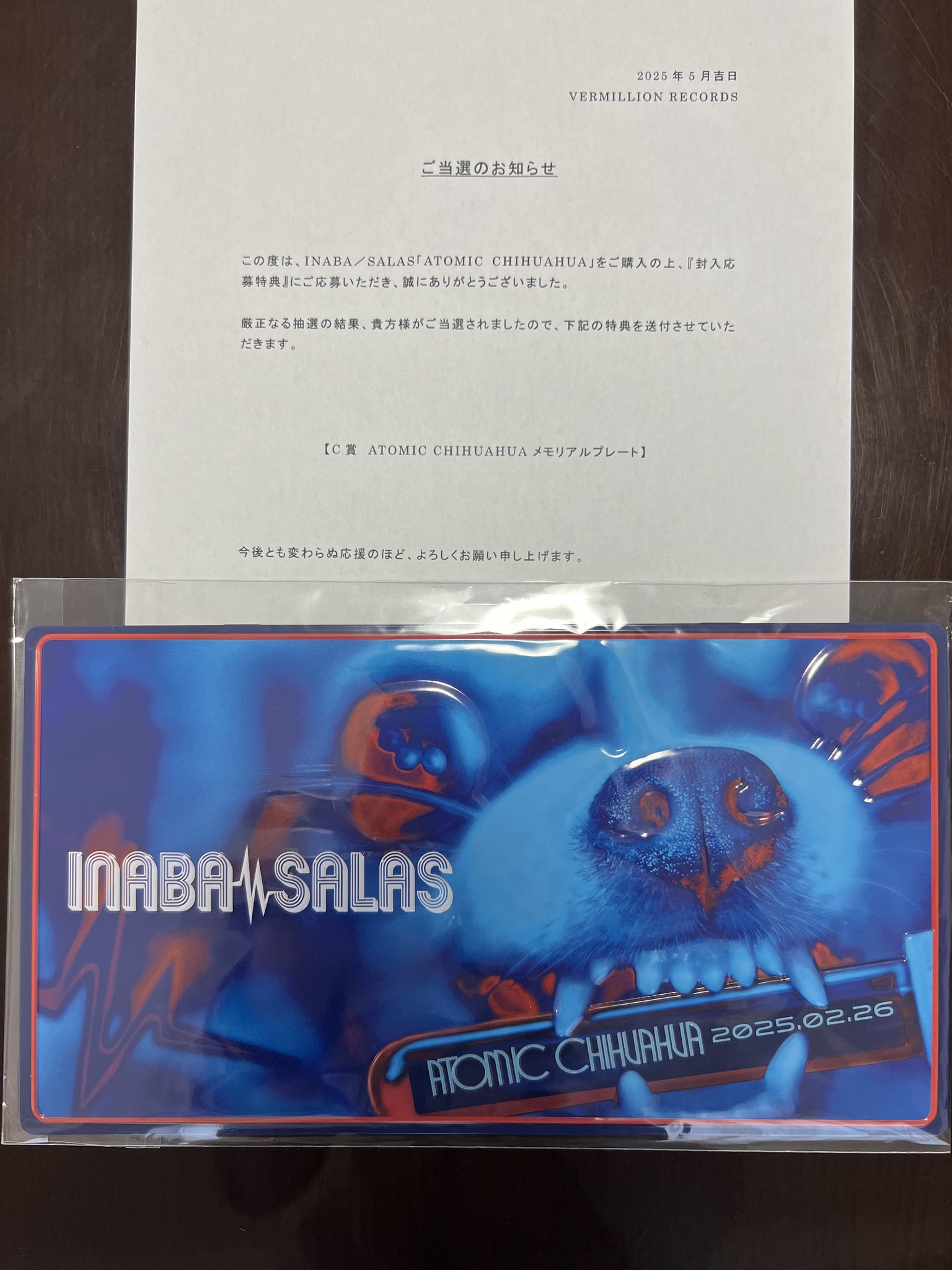 うさまる アートキャンパス にわか 福岡限定 うさまる アート