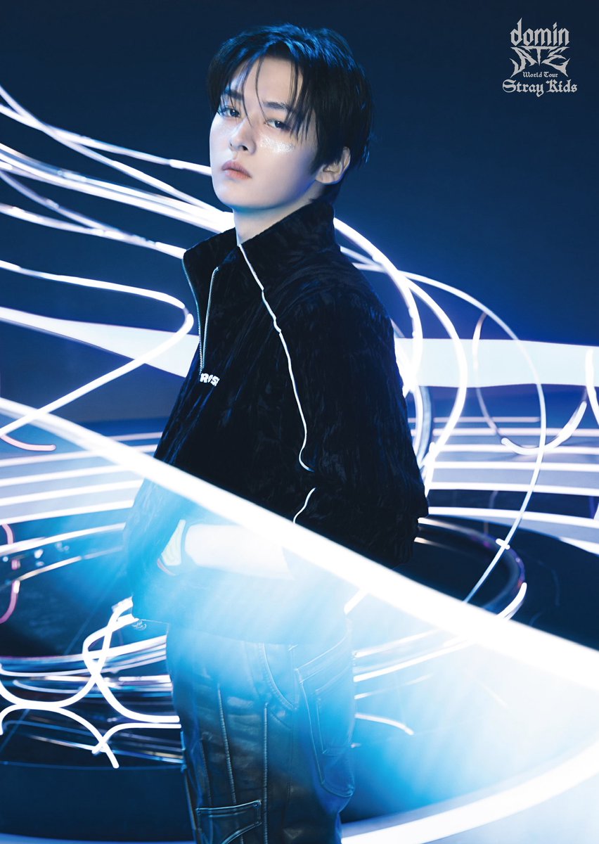 stray kids ソニミュ　ラキドロ　スンミン Stray kids GIANT ソニミュ ラキドロ スンミン - メルカリ