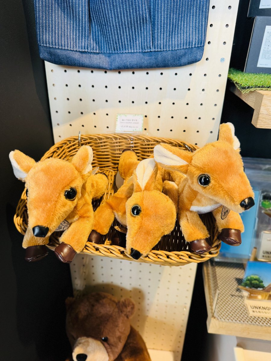 住友館のショップにあった、鹿のぬいぐるみ。 きょう見たら残り3匹に