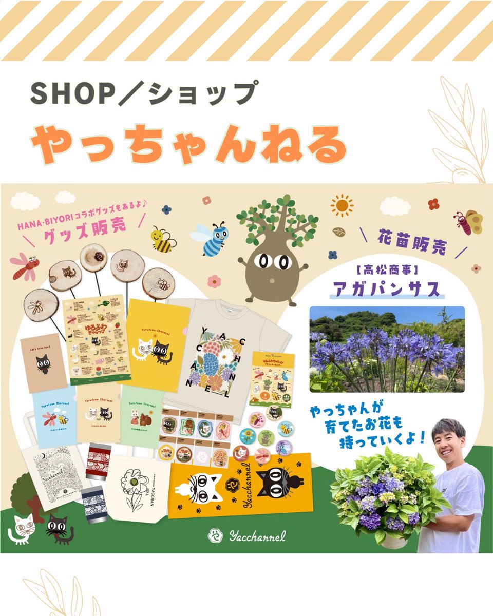 ゆるふわ園芸やっちゃんねる (@ohana_ohana_y) / Posts / X