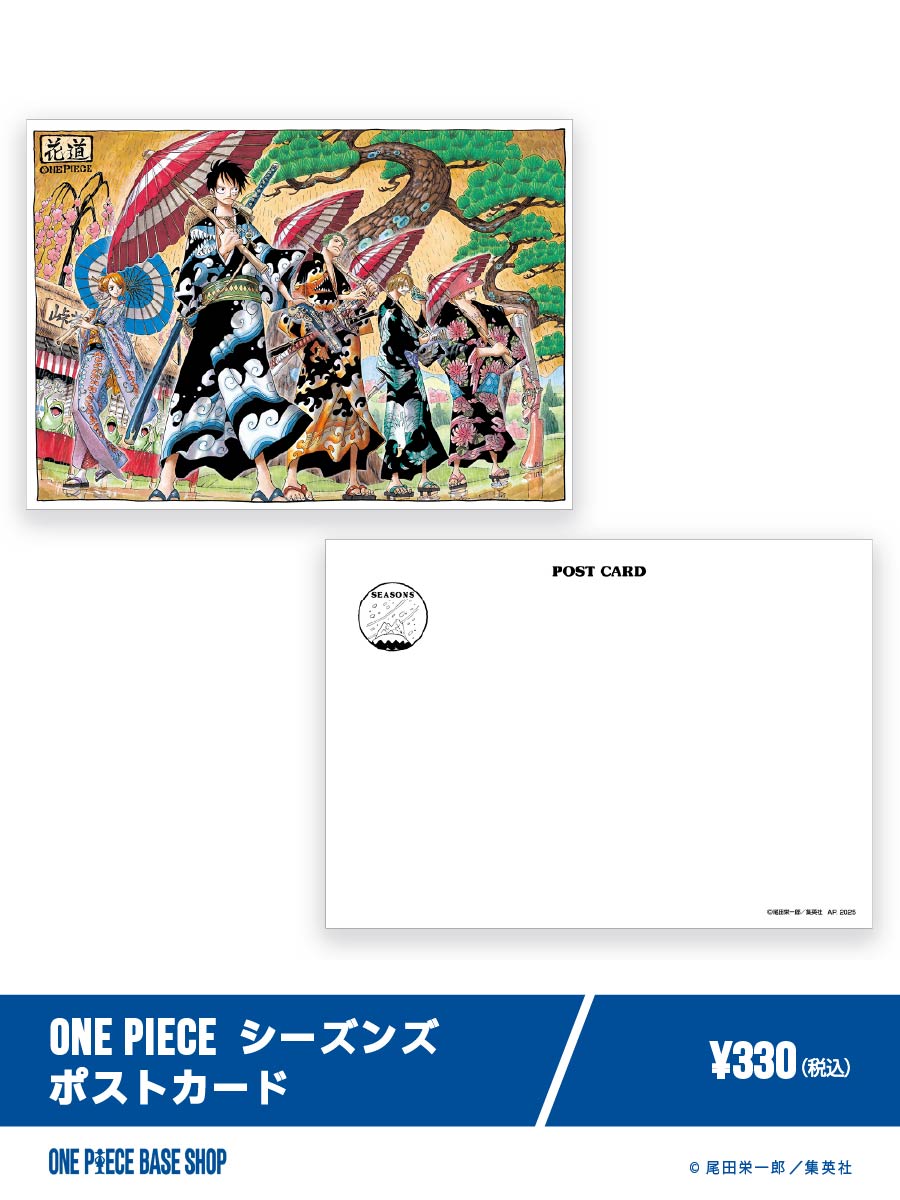 🔷ONE PIECE BASE SHOP商品紹介🔷​ ​ ＝＝＝＝＝No.173＝＝＝＝＝​ ONE