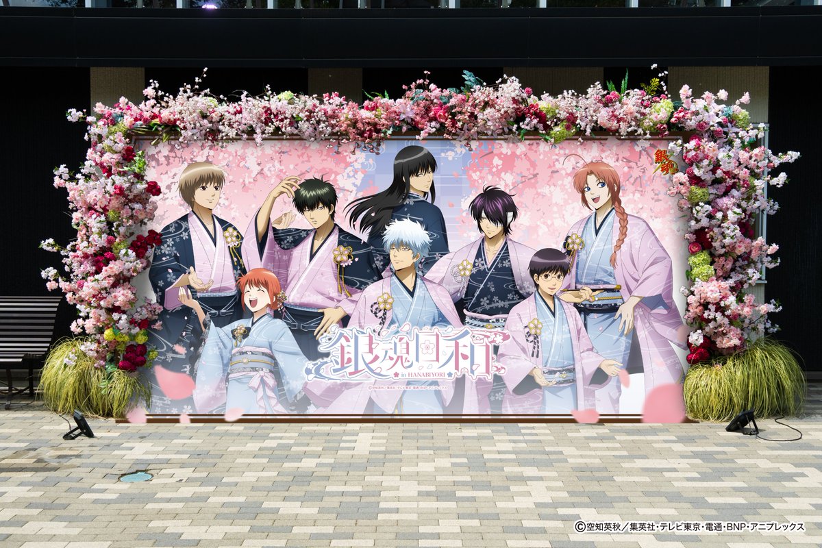 HANA・BIYORI 【公式】 (@Hanabiyori8717) / Posts / X