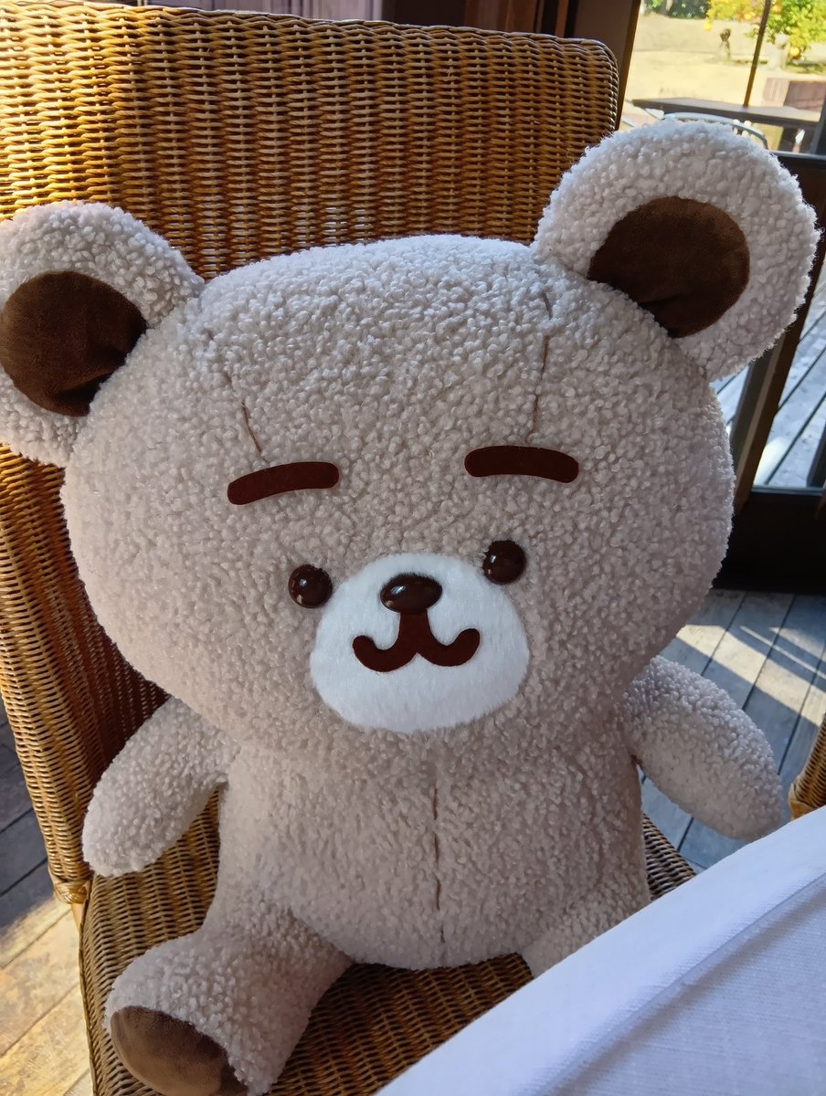 カナヘイ #カナヘイの小動物 #伊豆テディベアミュージアム #ピスケと