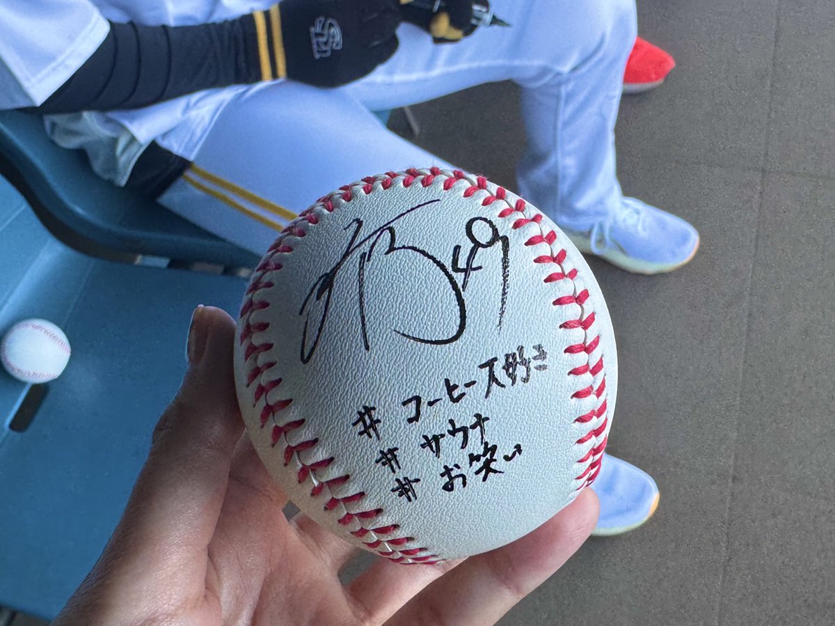 宮崎春季キャンプ2026 球春到来🌸キャンプ初日は日曜日ということで