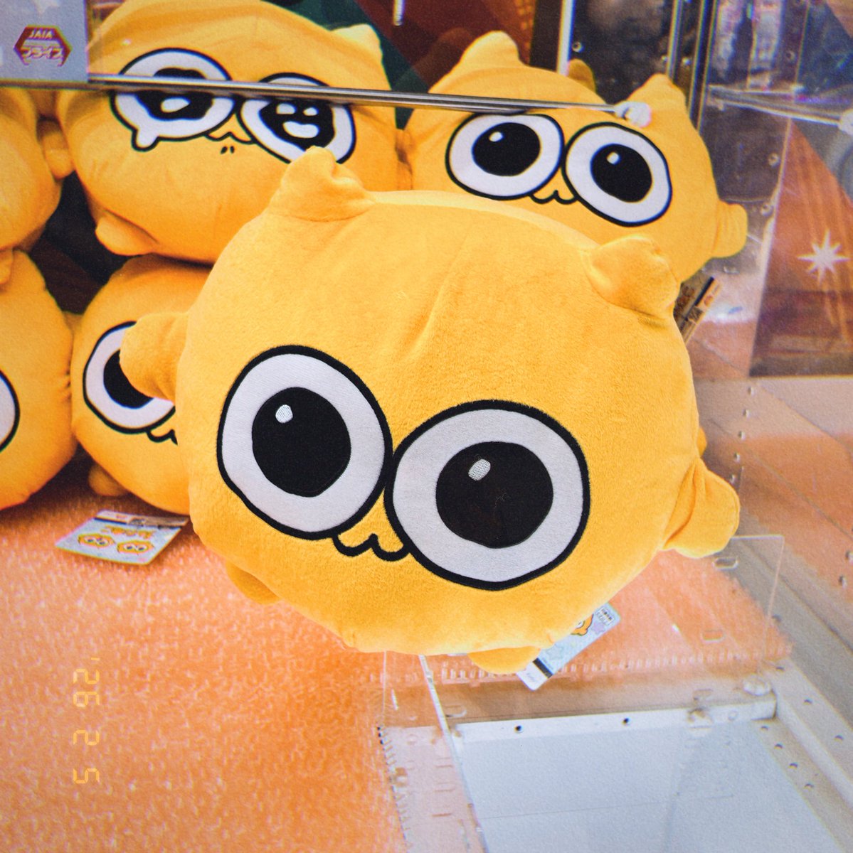 うんたねこ公式ホームページ | びくたろ うんたねこ BIGぬいぐるみ