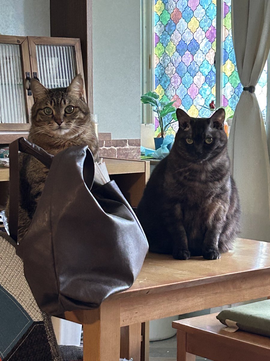 ゆずあんず (@oneDF9hLlW4qS86) / Posts and Replies / X