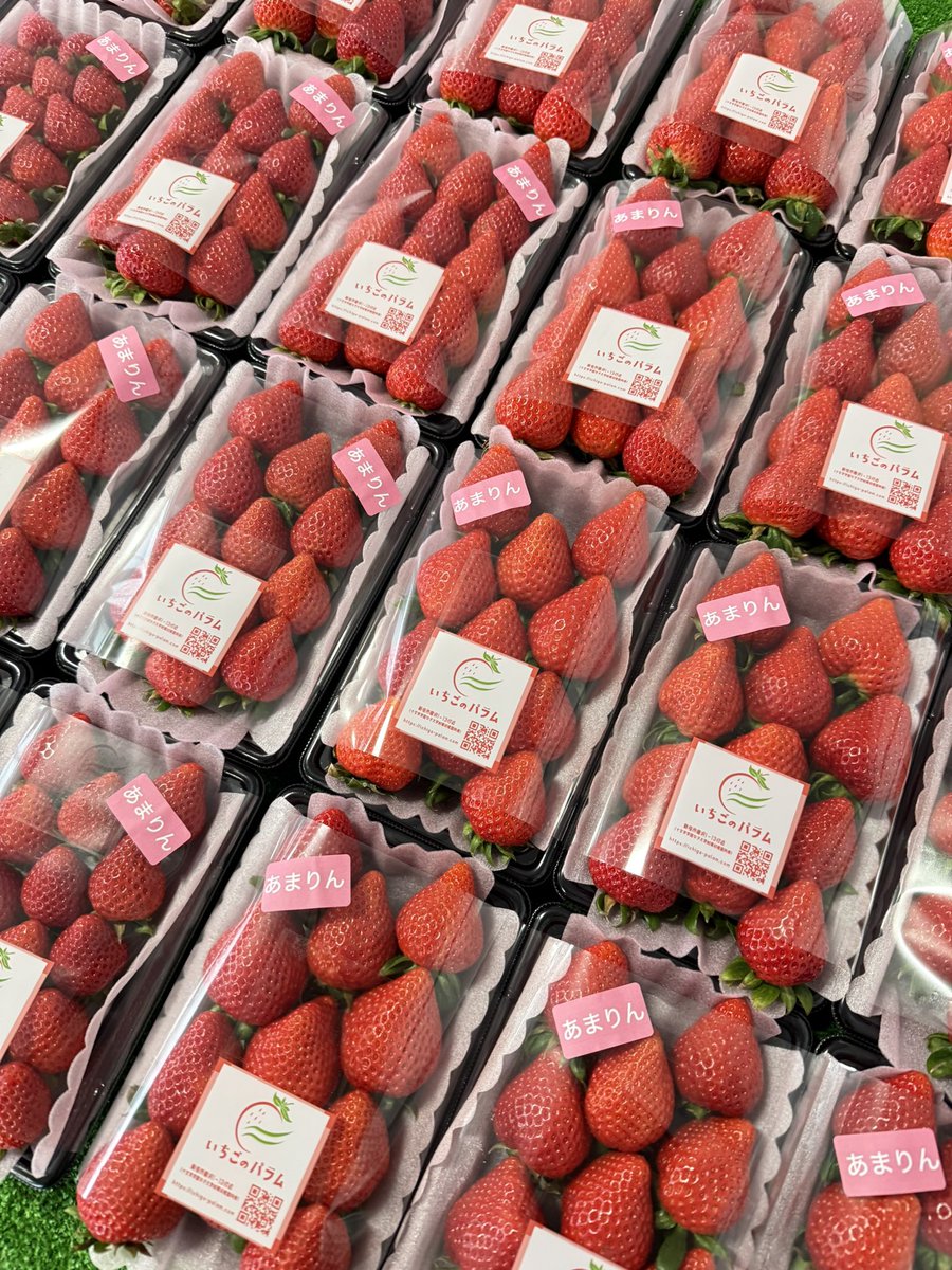 こんにちは！！ 2/25(水)も13:00より営業開始😆 あいにくの雨☔️です