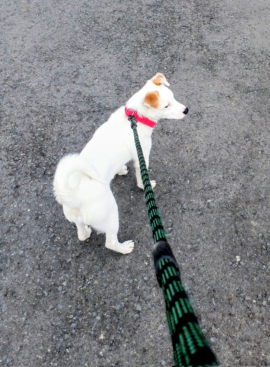 るるる (@rururutte) / Posts / X