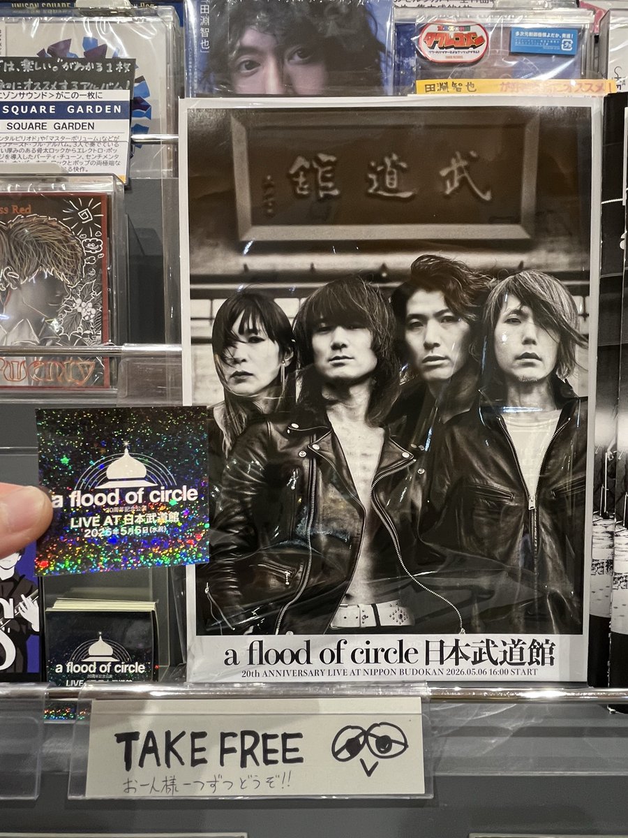a flood of circleから 最新ポスターが届きました‼ 店頭にて掲出中