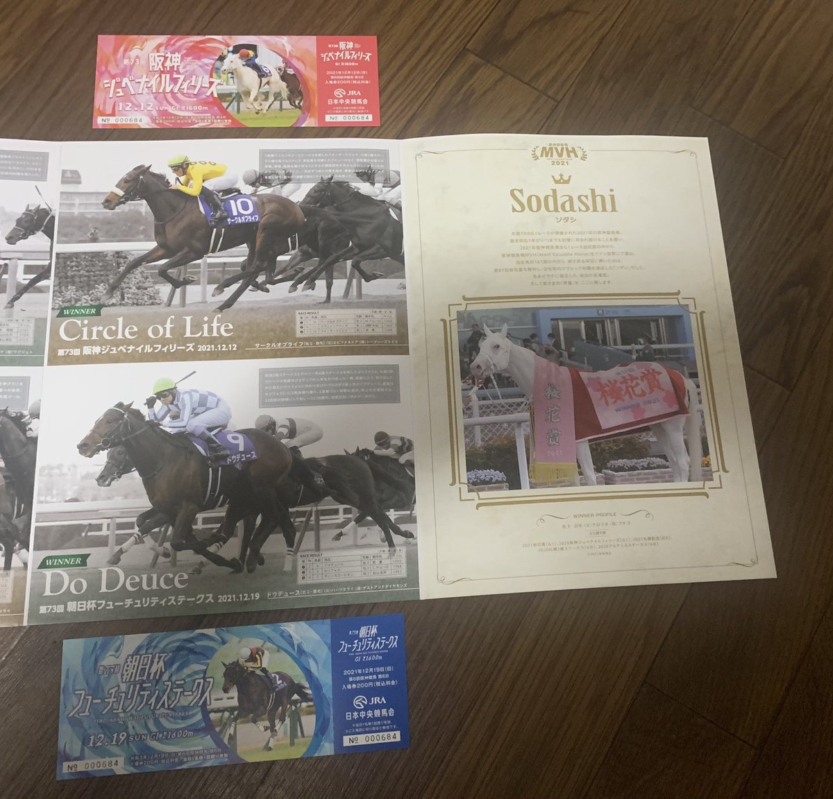 わし、こんな入場券セット持ってます✌️ #JRA #阪神競馬場