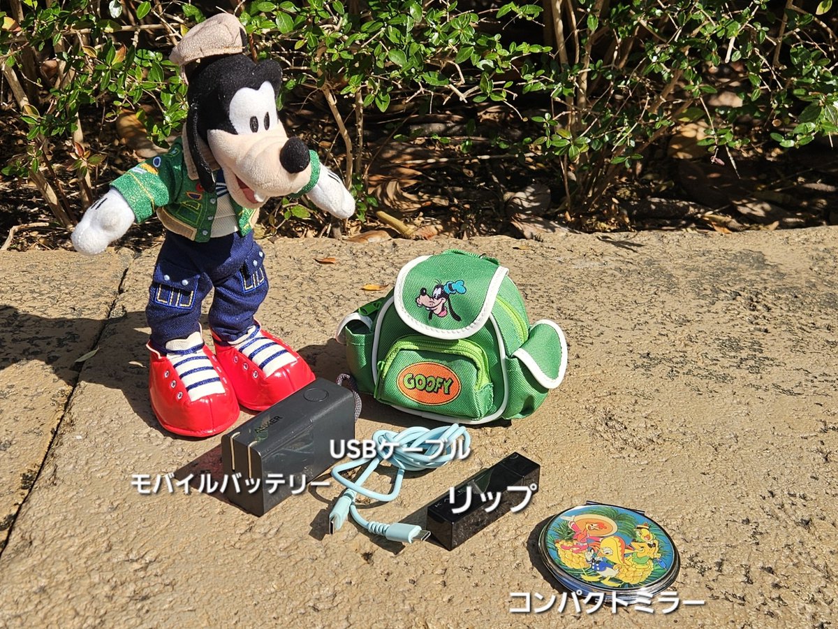 オタクへ驚異の収容力です。買いなさい【公式】ディズニーストア.jp