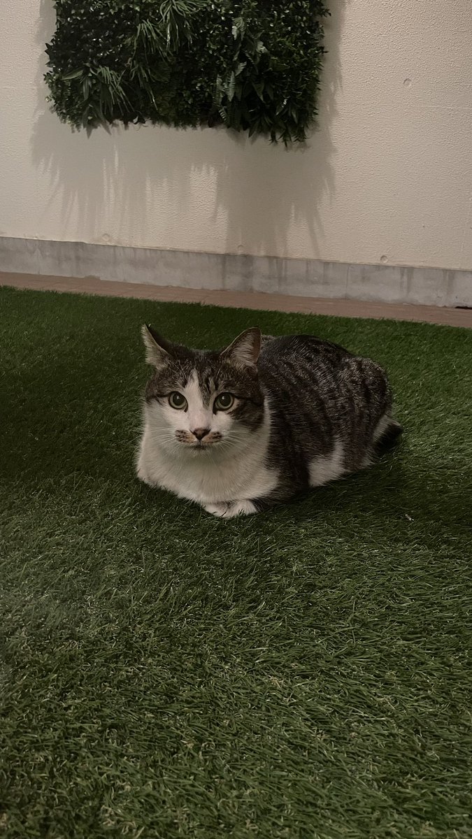 よっ、元気してた？