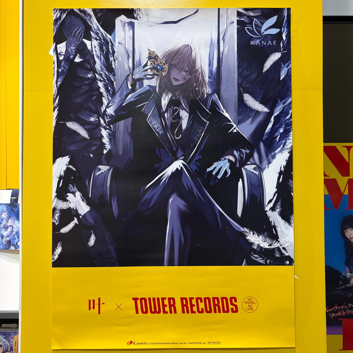 叶】 1st full album「藍」 本日発売💿 🎁タワレコ特典：レプリカ