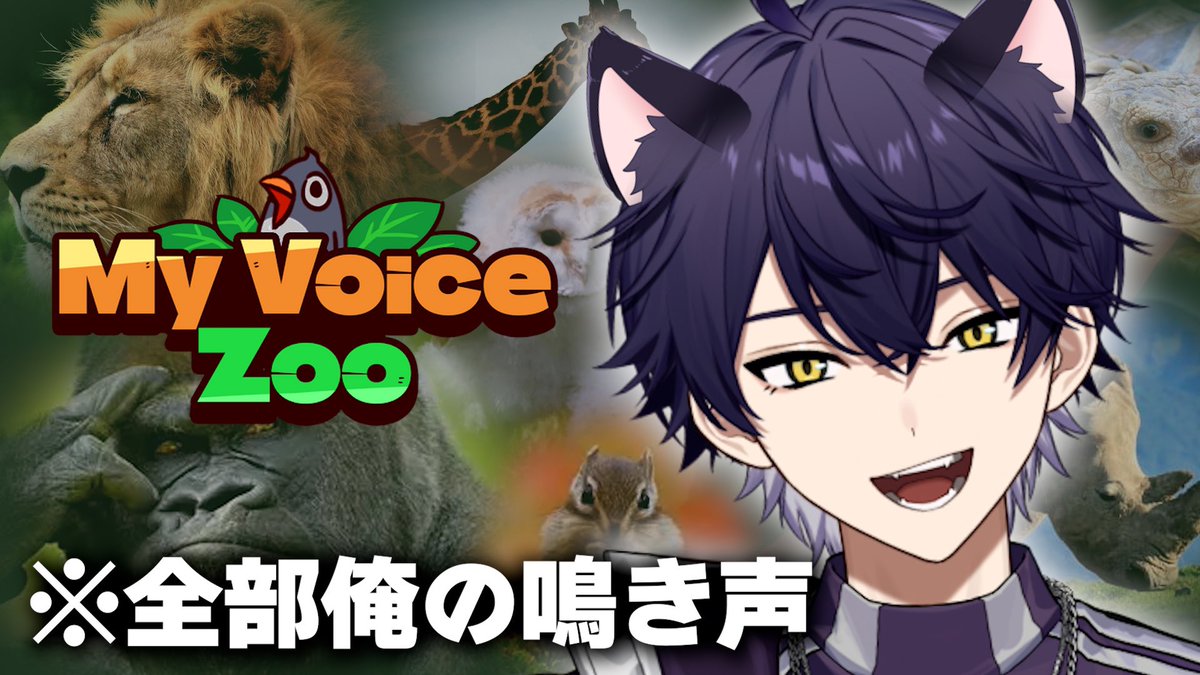 いるま@シクフォニ (@illmaill) / Posts / X