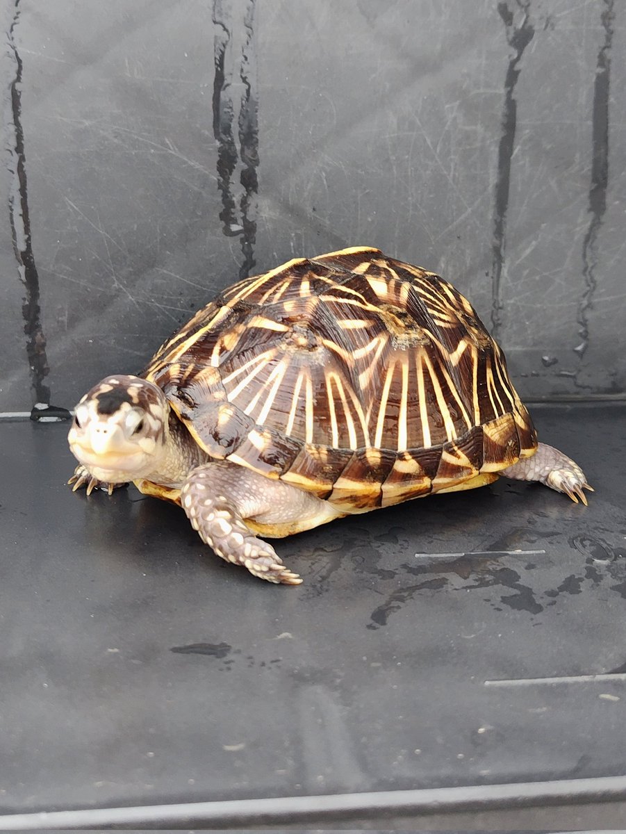 tito (@34_wgnc) / Posts / X