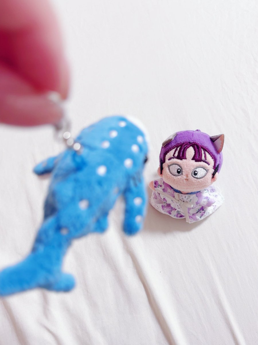 Post by まろ🦊 on X: 🎣