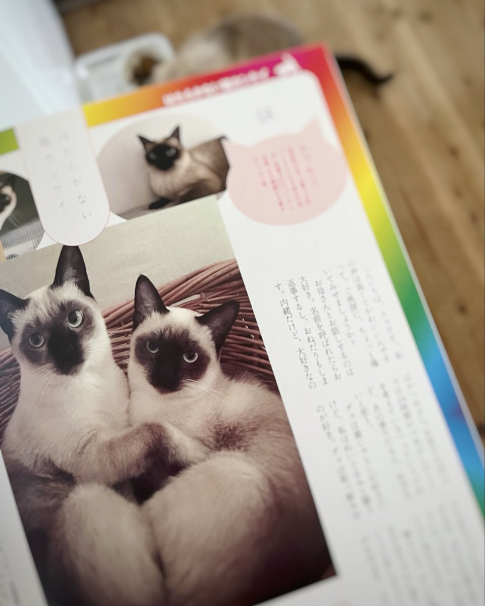 過去記事再掲載も載せていただいてますー