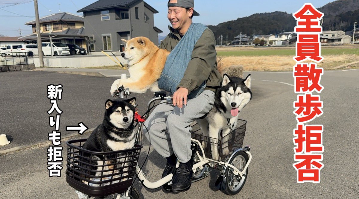 もちごめ兄弟 (@mochigome810) / Posts / X