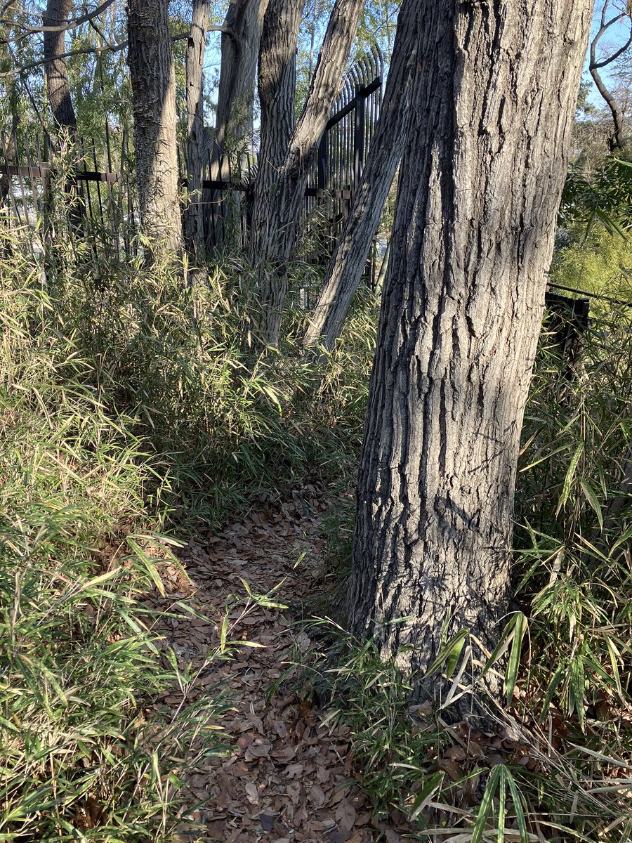 この道を先程出会ったマウンテンバイクの方達は走っていったのだろうか