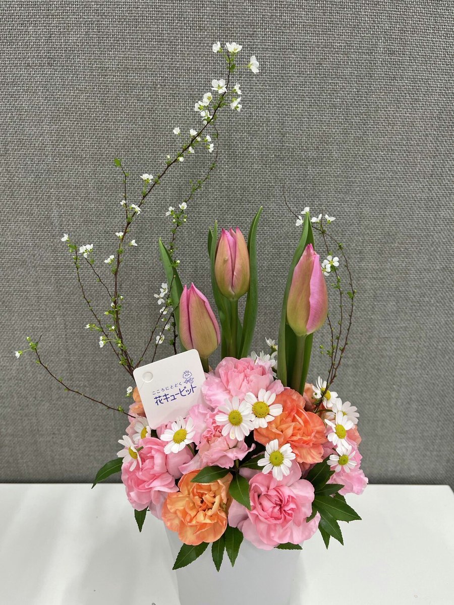 🌸 #花咲かタイムズ ✨🌷今週の花🌷✨ 「チュ－リップのアレンジメント