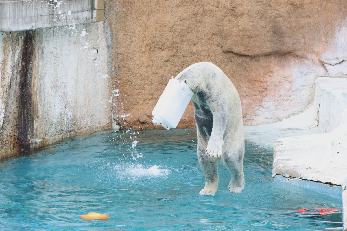 崖の上のナントカで水面を走るシーンあったな、などと思ったり。 色々