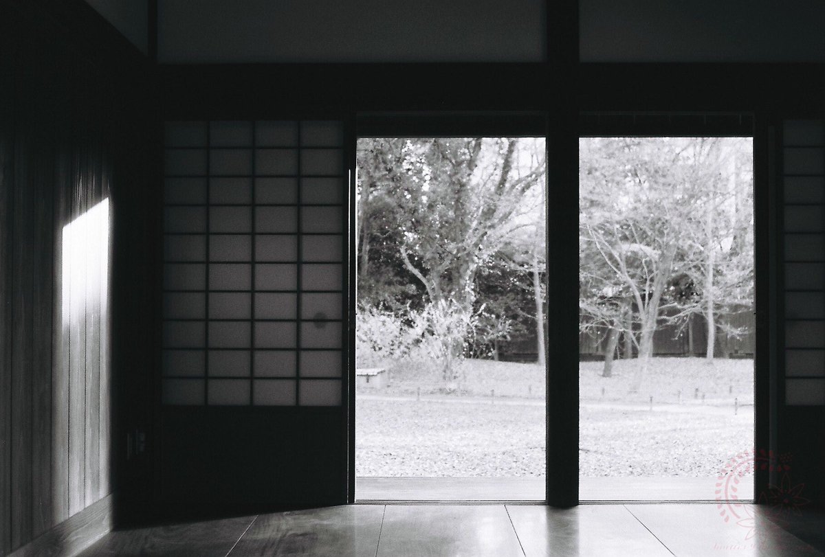 それでは皆さま、おやすみなさいませ(( _ _ ))..zzzZZ