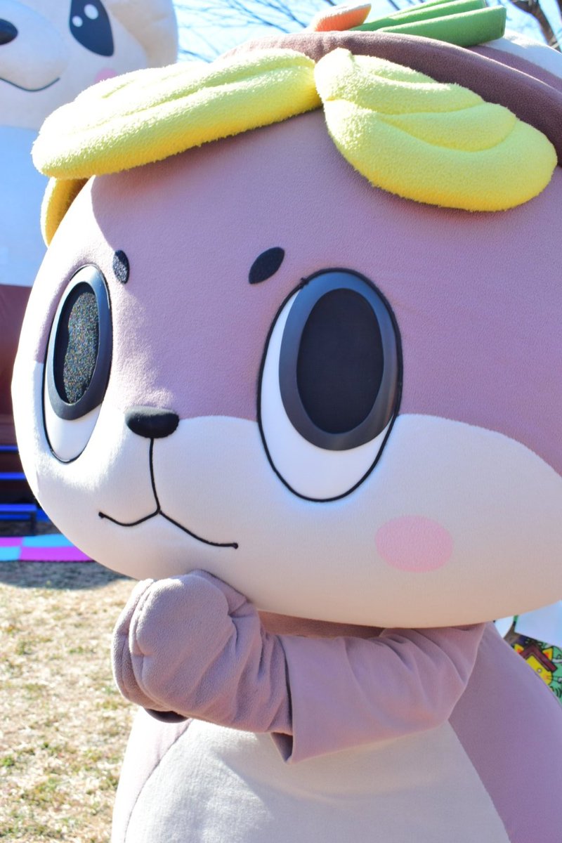 かわうそちゃん可愛い(*´ `)♡