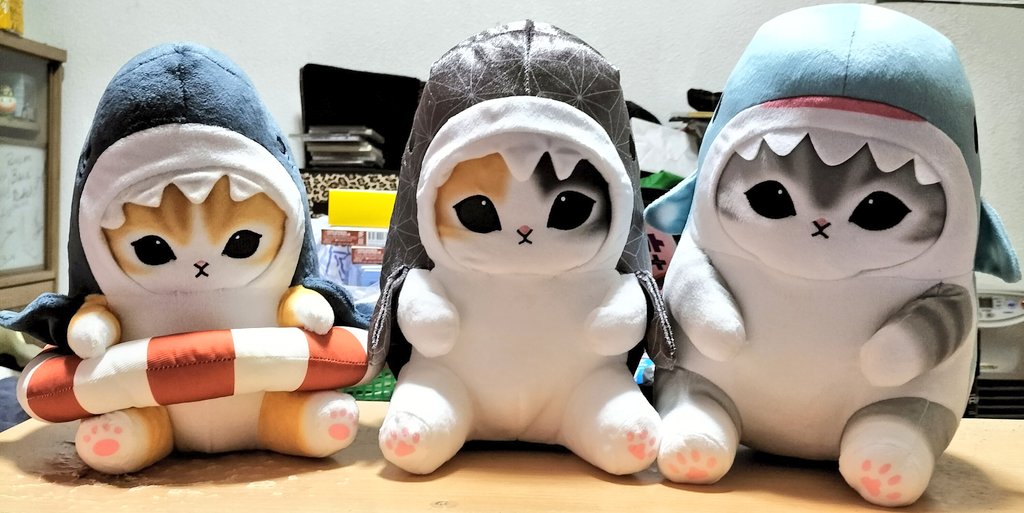 今日は2月22日、キミたちの日だよっ!✨😆👍（笑） #猫の日 #にゃん