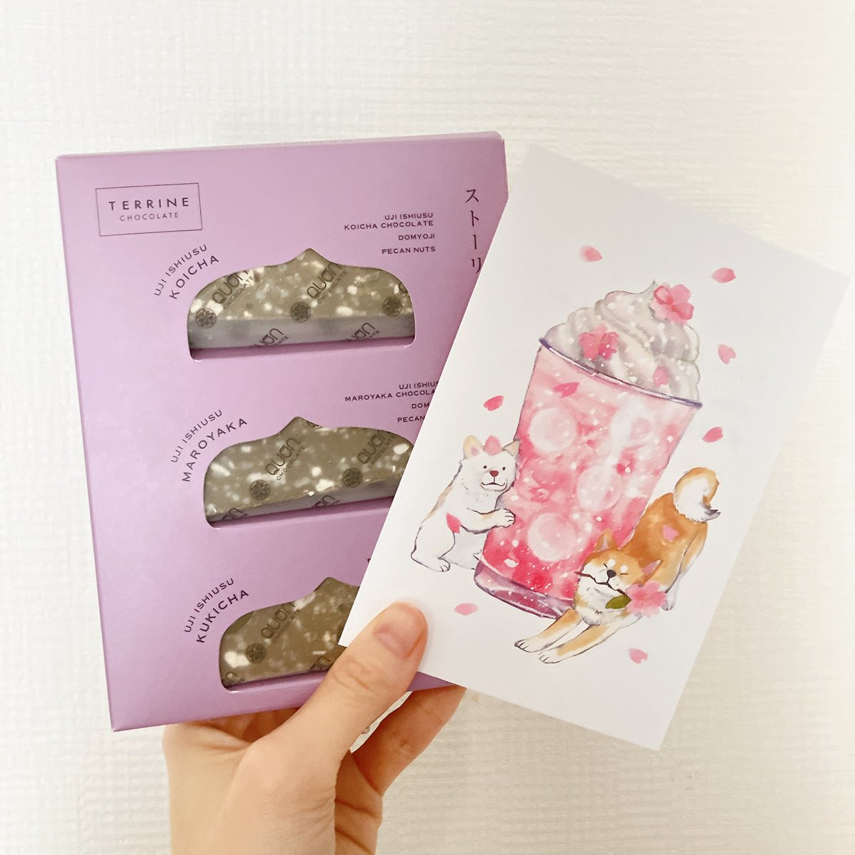 可愛い〜！」と思って買ったワンちゃんのポストカード。 さっそくお